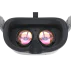 VR Expert Pico Neo 3 Pro Eye